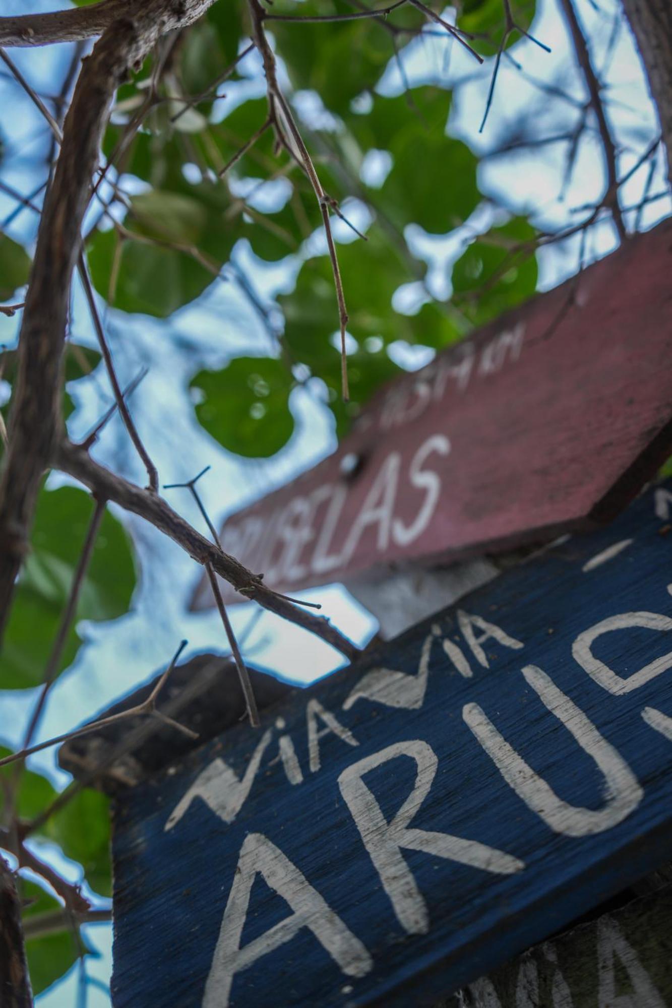 Viavia Bsas Guesthouse 324 Μπουένος Άιρες Εξωτερικό φωτογραφία