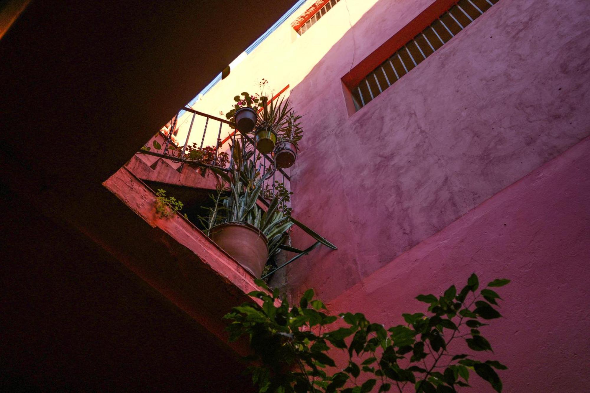 Viavia Bsas Guesthouse 324 Μπουένος Άιρες Εξωτερικό φωτογραφία